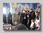 IMG_1255 (Medium)